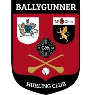 Picture of Ballygunner GAA