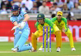 Picture of Cricket