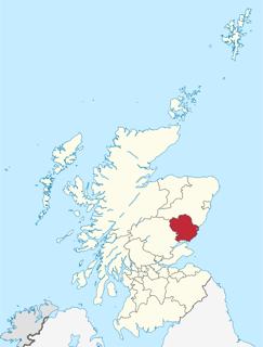 Picture of Angus