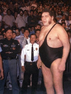 Picture of André René Roussimoff