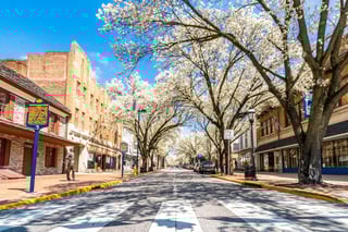 Picture of York