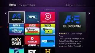 Picture of Roku
