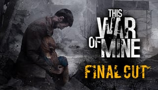 Picture of This War of Mine