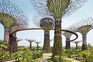 Picture of Gardens by the Bay