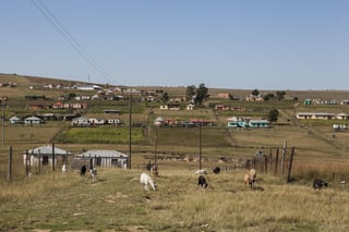 Picture of Qunu