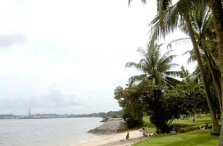 Picture of Pasir Ris Park