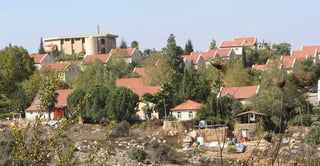 Picture of Ofra