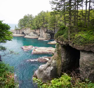 Picture of Cape Flattery