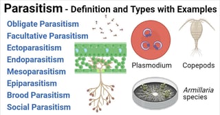 Picture of Parasitism