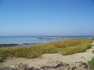 Picture of Apalachee Bay
