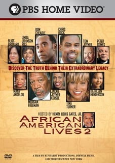 Picture of African American Lives
