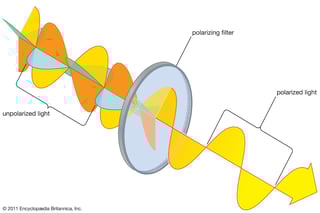 Picture of Polarization