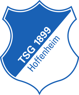 Picture of TSG 1899 Hoffenheim