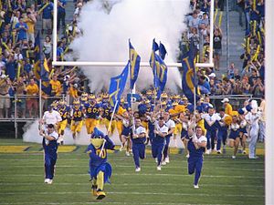 Picture of Delaware Fightin' Blue Hens football