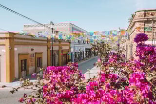Picture of Todos Santos