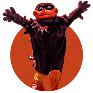 Picture of Virginia Tech Hokies