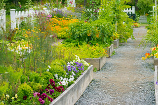 Picture of Garden