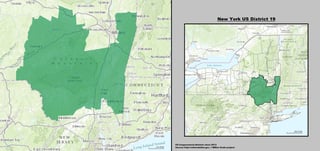 Picture of New York's 19th congressional district