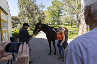 Picture of Claiborne Farm