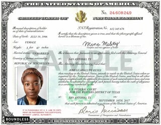 Picture of Naturalization