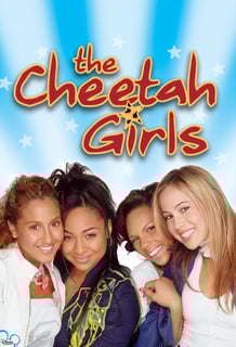 Picture of The Cheetah Girls