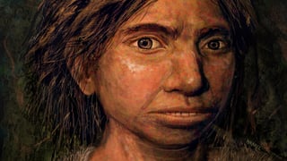Picture of Denisovan