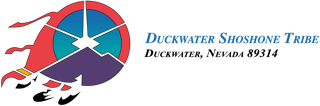 Picture of Duckwater Shoshone Tribe of the Duckwater Reservation