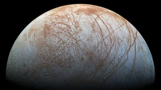 Picture of Europa