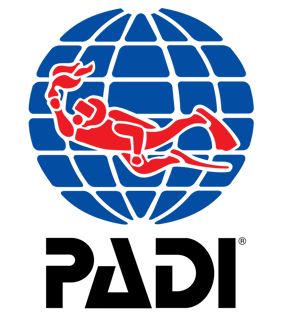 Picture of Professional Association of Diving Instructors