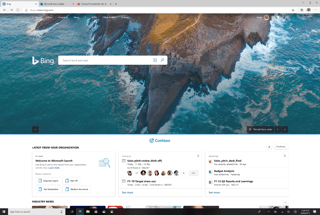 Picture of Microsoft Bing