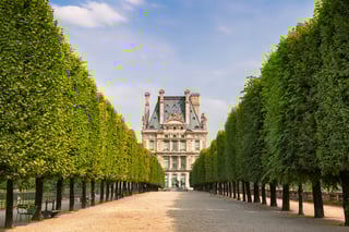 Picture of Tuileries Garden