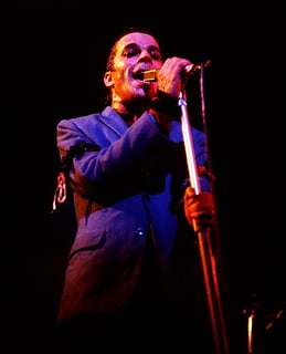 Picture of Ian Dury