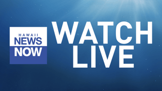 Picture of Hawaii News Now