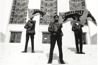 Picture of Black Panther Party