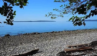 Picture of Sears Island