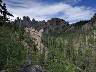 Picture of Black Hills