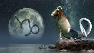 Picture of Capricorn
