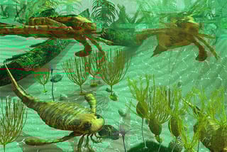 Picture of Cambrian explosion