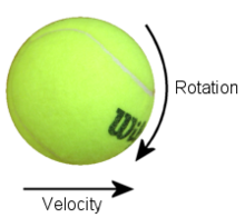 Picture of Topspin