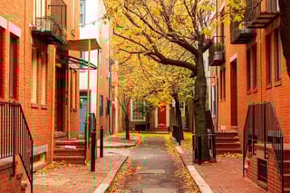 Picture of Harrowgate