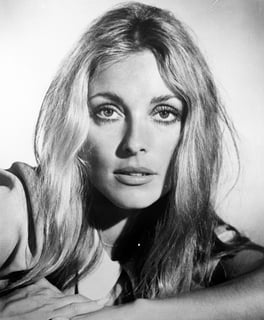 Picture of Sharon Tate
