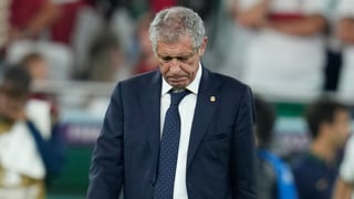 Picture of Fernando Santos
