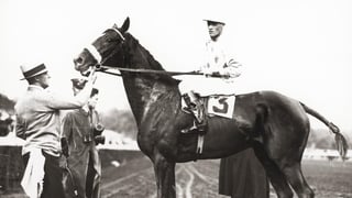 Picture of Jim Dandy Stakes