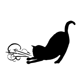 Picture of Asthmatic Kitty Records