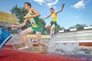Picture of Steeplechase