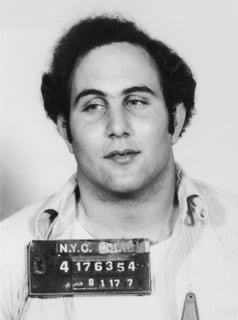 Picture of David Berkowitz
