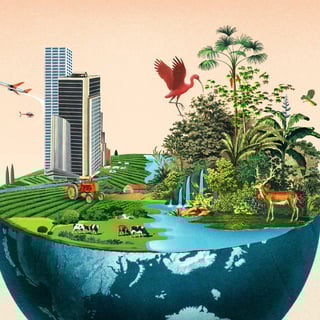 Picture of Biodiversity