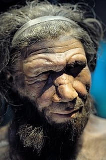 Picture of Neanderthal