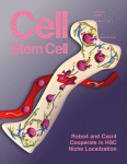 Picture of Cell Stem Cell