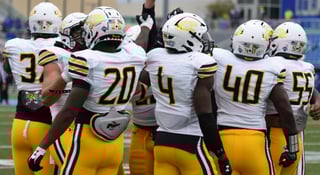 Picture of Towson Tigers football